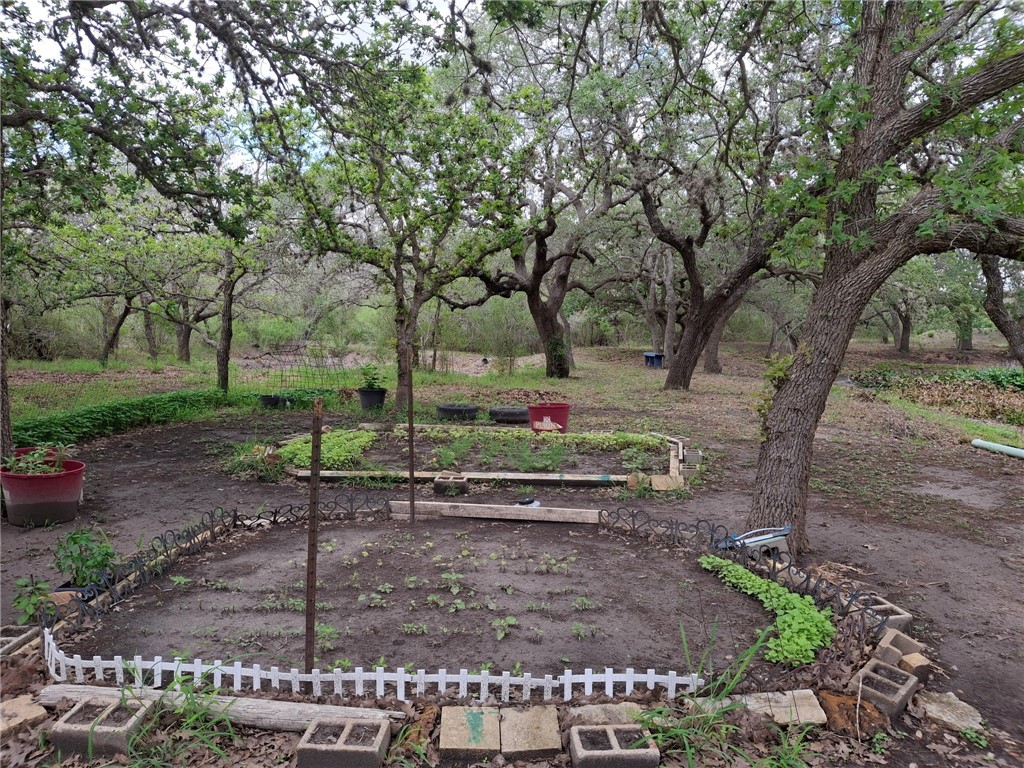9213 Pvt 6005 Road Sinton, TX 78387 - Photo 8 of 24 established garden