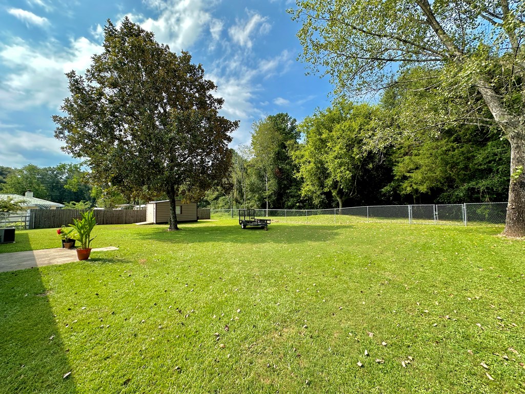 1750 Will Logan Road Ozark, AL 36360 - Photo 16 of 19 fenced yard