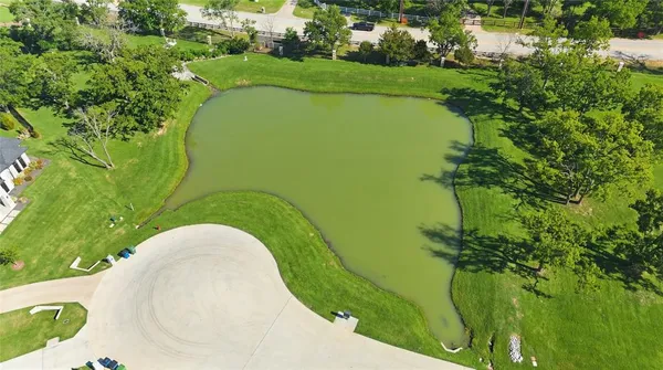 a view of a garden