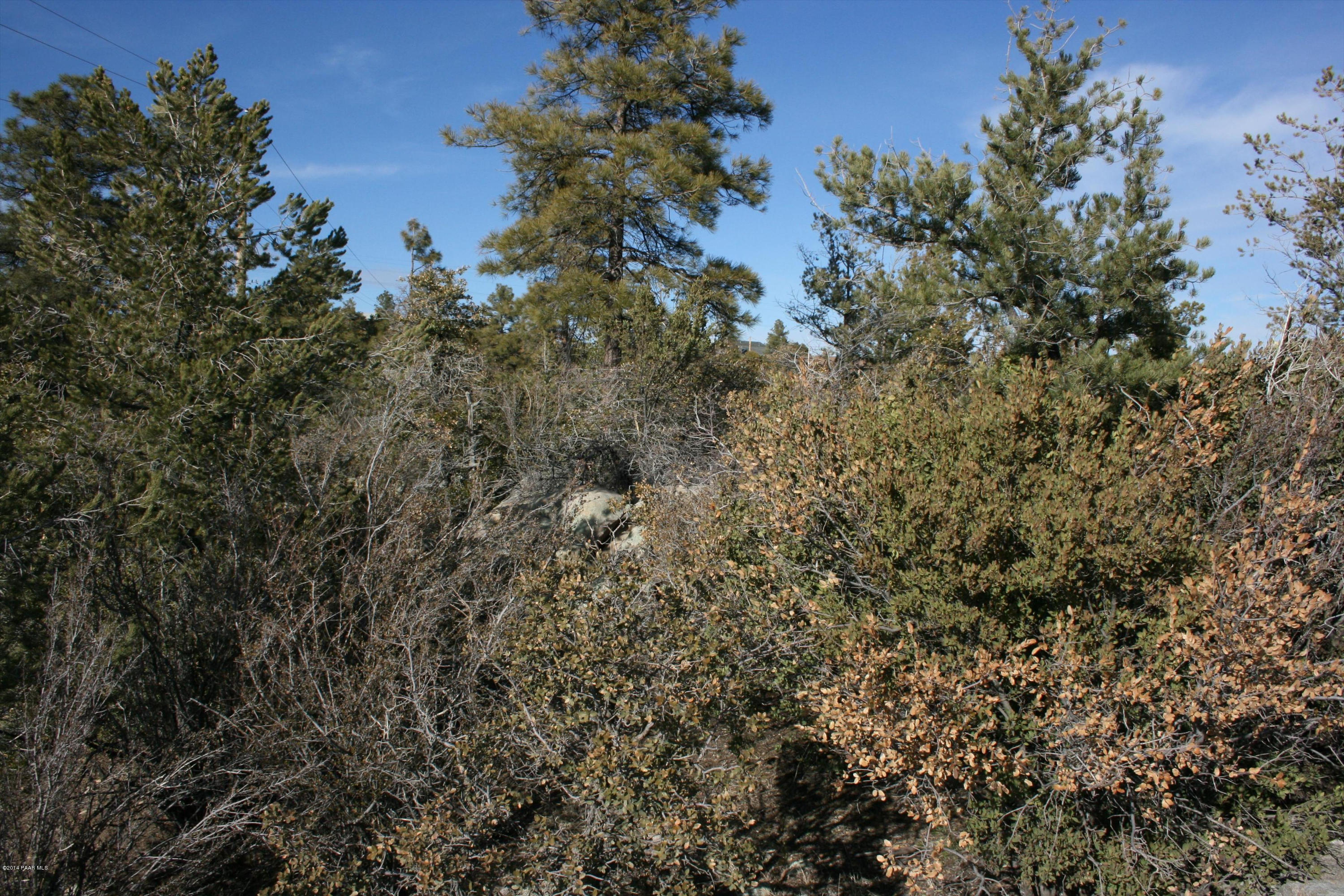 1456 Eureka Ridge Way Prescott, AZ 86303 - Photo 7 of 12 011_IMG_5442
