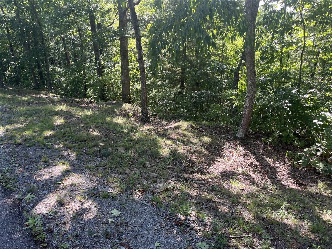 Lot 20 Wildwood Ridge Lindside, WV 24951 - Photo 4 of 21 Gallery Image 4