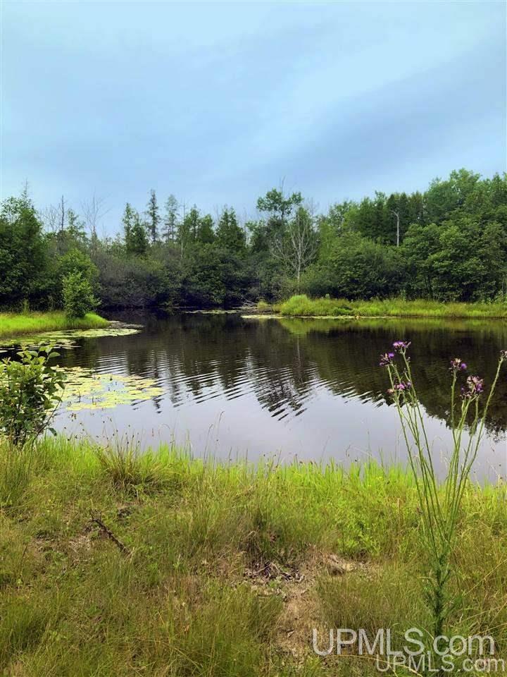 4688 12th Road Escanaba, MI 49829 - Photo 21 of 42
