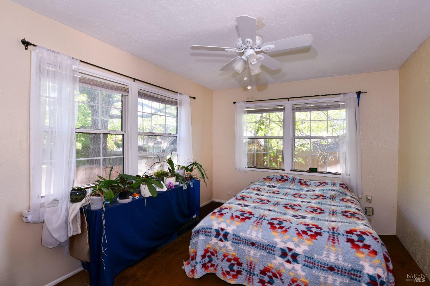 473 Newton Way Angwin, CA 94508 - Photo 61 of 87