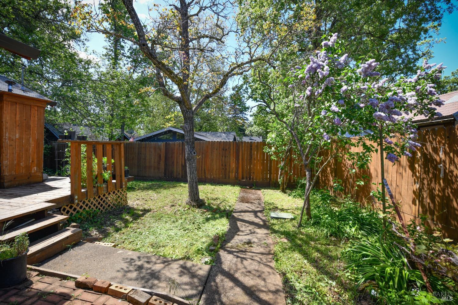 473 Newton Way Angwin, CA 94508 - Photo 64 of 87