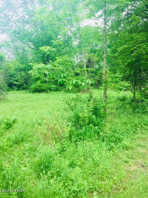 Lot 8 Prompton Road Honesdale, PA 18431 - Photo 5 of 6