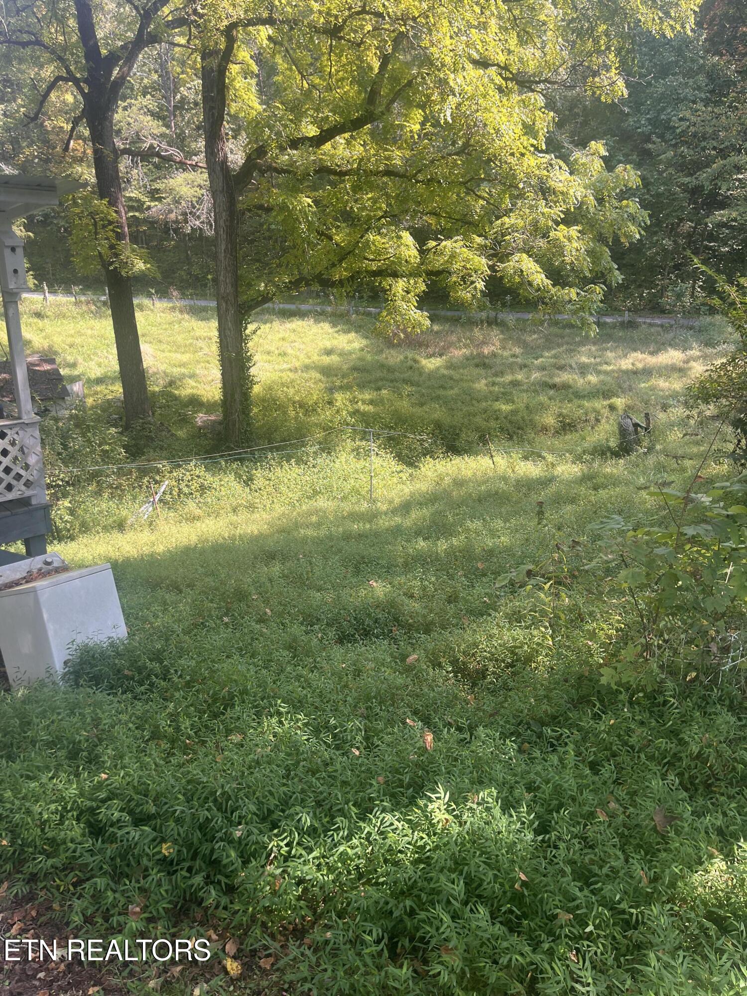 346 Wolfenbarger Lane Luttrell, TN 37779 - Photo 11 of 33 IMG_3501