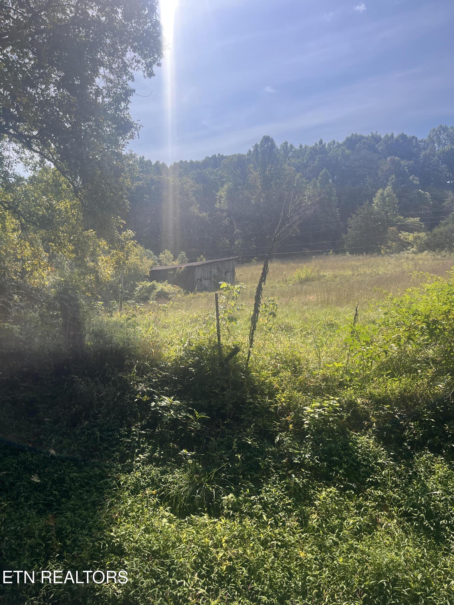 346 Wolfenbarger Lane Luttrell, TN 37779 - Photo 12 of 33 IMG_3502