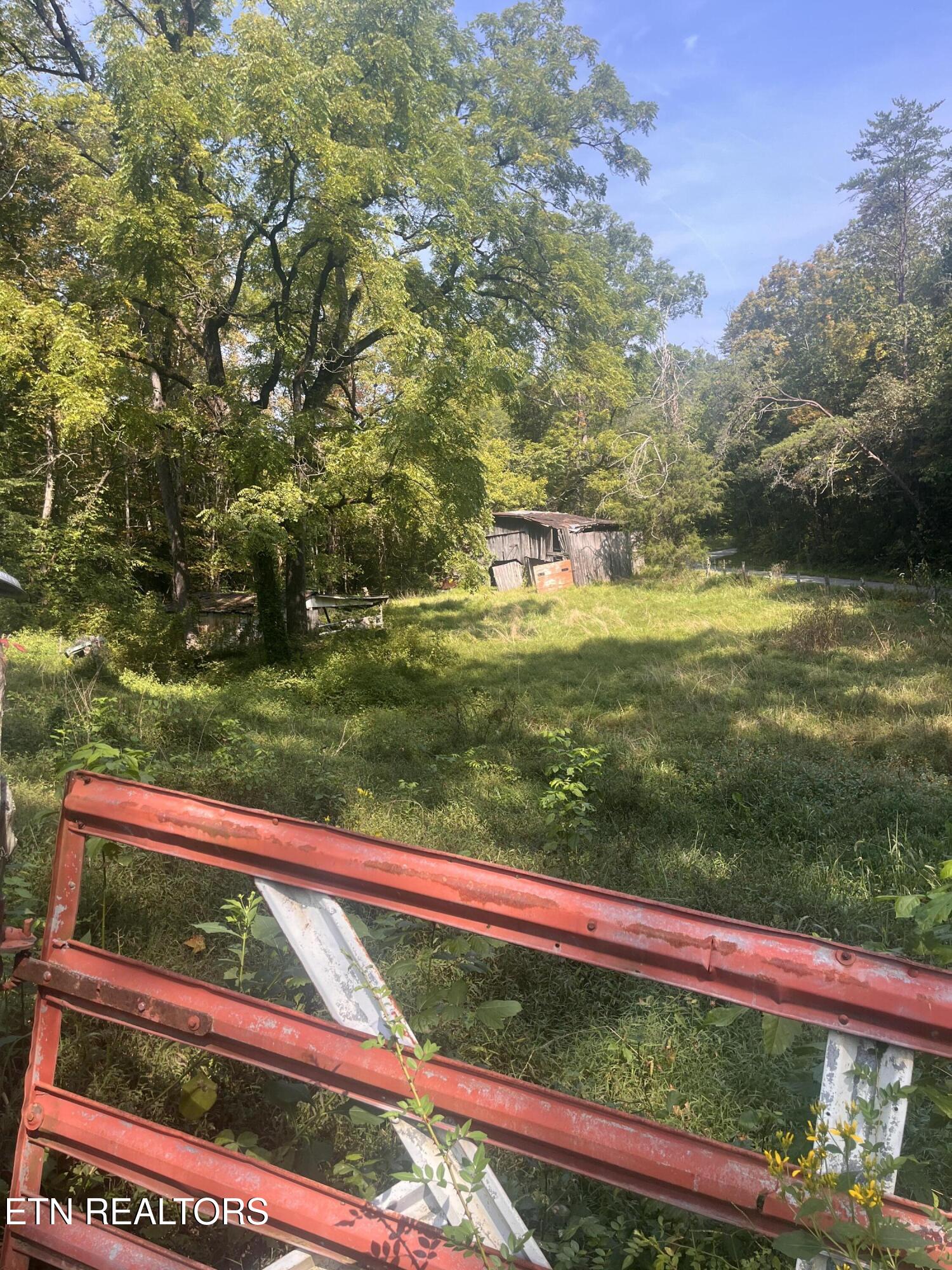 346 Wolfenbarger Lane Luttrell, TN 37779 - Photo 17 of 33 IMG_3509