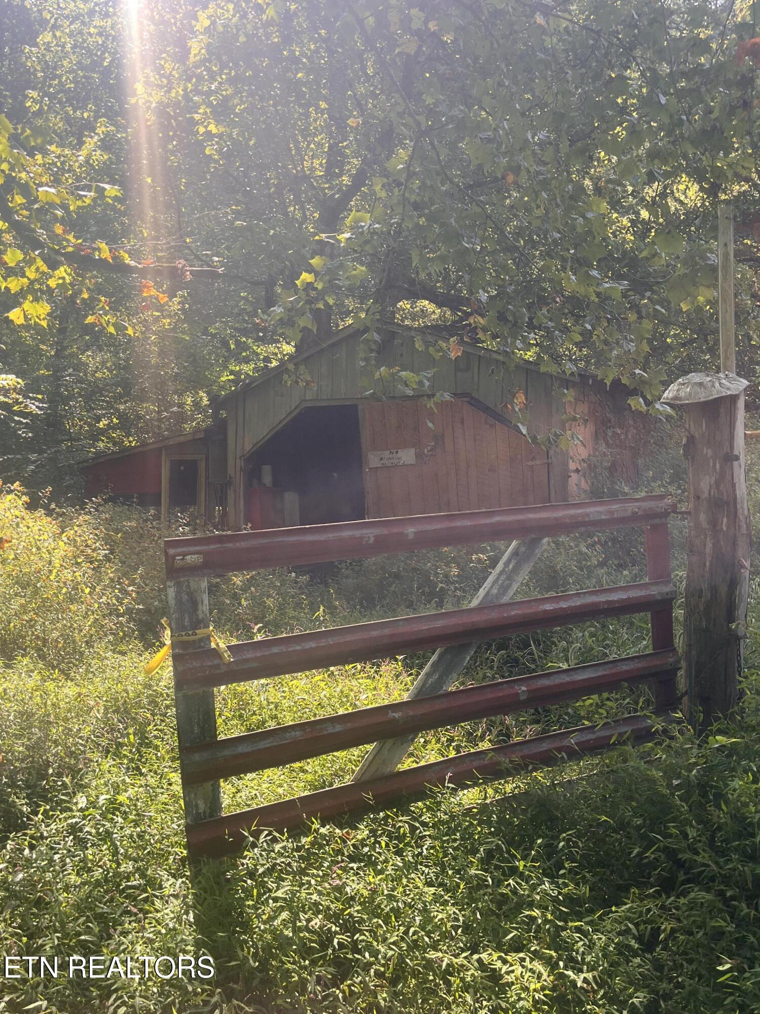 346 Wolfenbarger Lane Luttrell, TN 37779 - Photo 19 of 33 IMG_3512