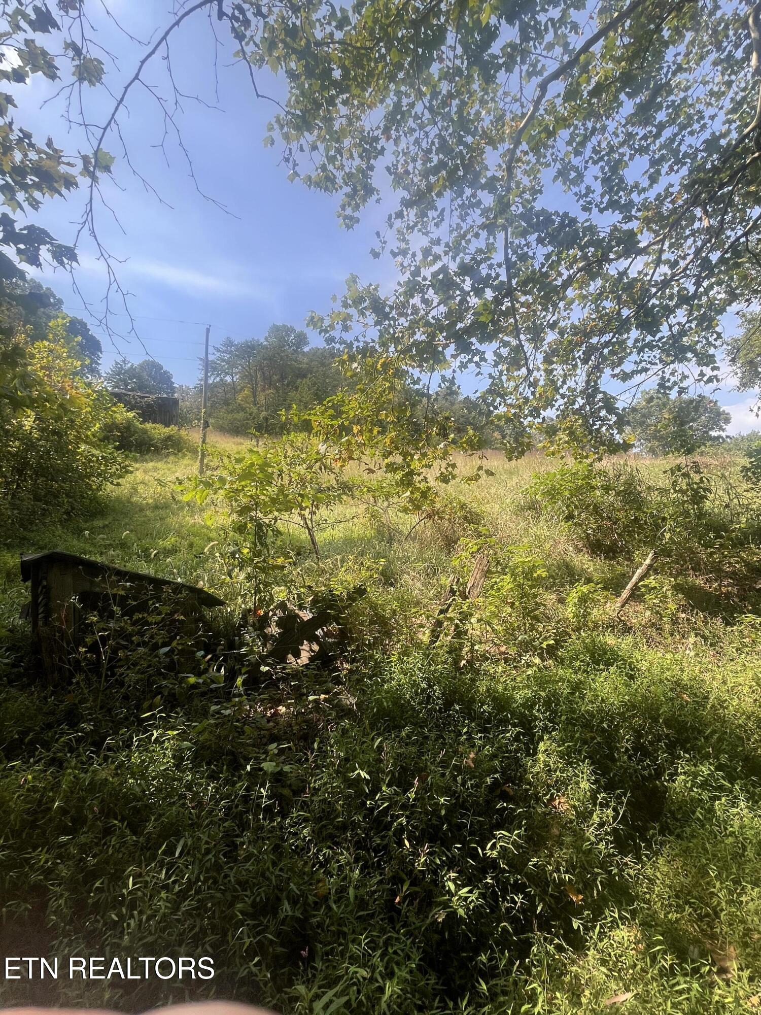 346 Wolfenbarger Lane Luttrell, TN 37779 - Photo 20 of 33 IMG_3513