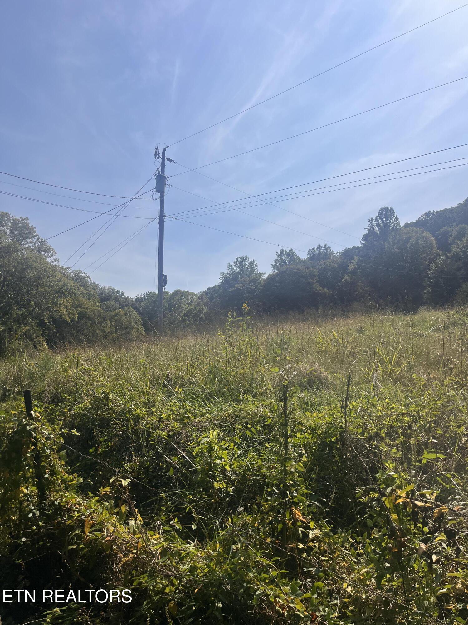 346 Wolfenbarger Lane Luttrell, TN 37779 - Photo 21 of 33 IMG_3514