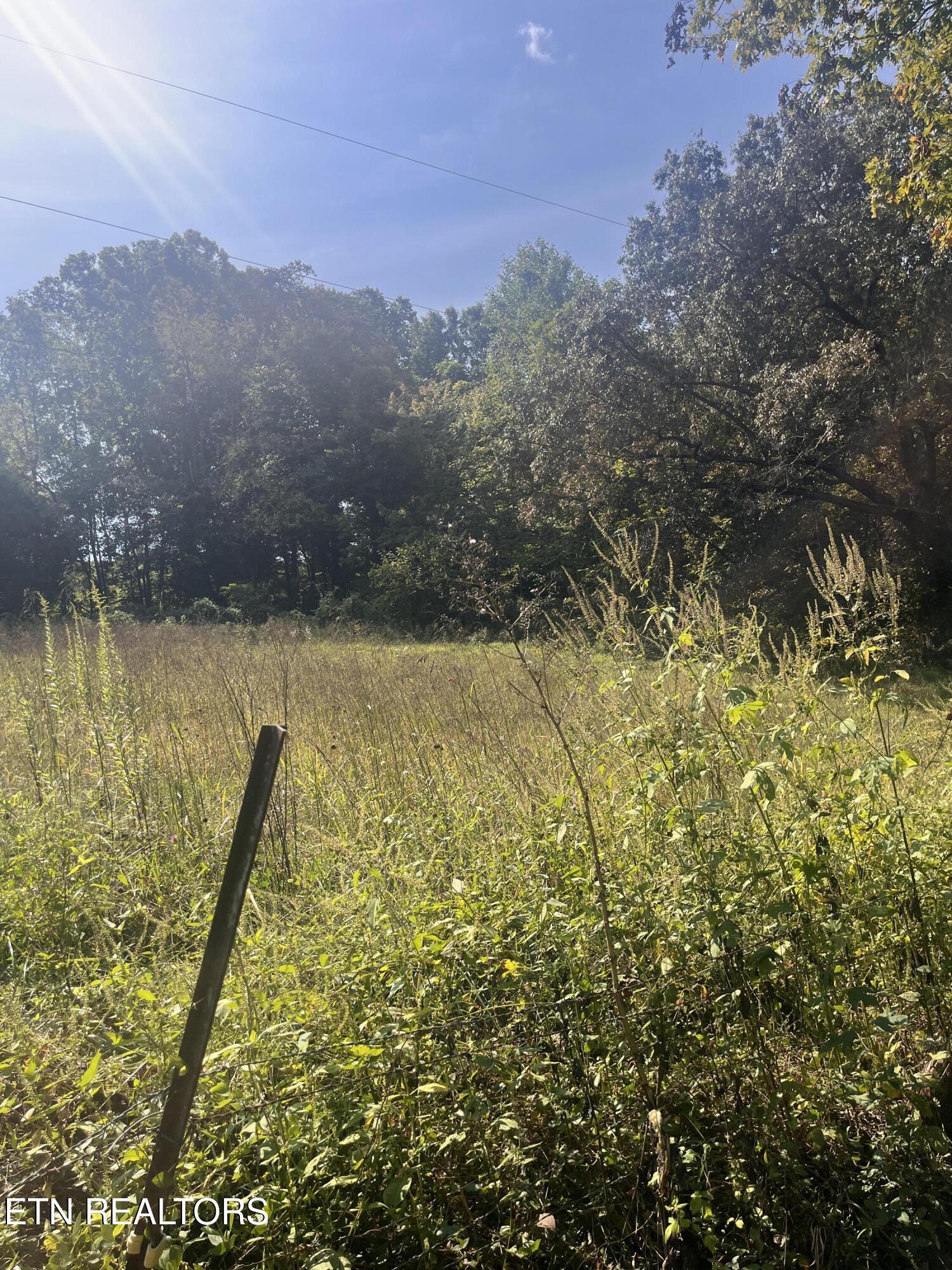 346 Wolfenbarger Lane Luttrell, TN 37779 - Photo 22 of 33 IMG_3515