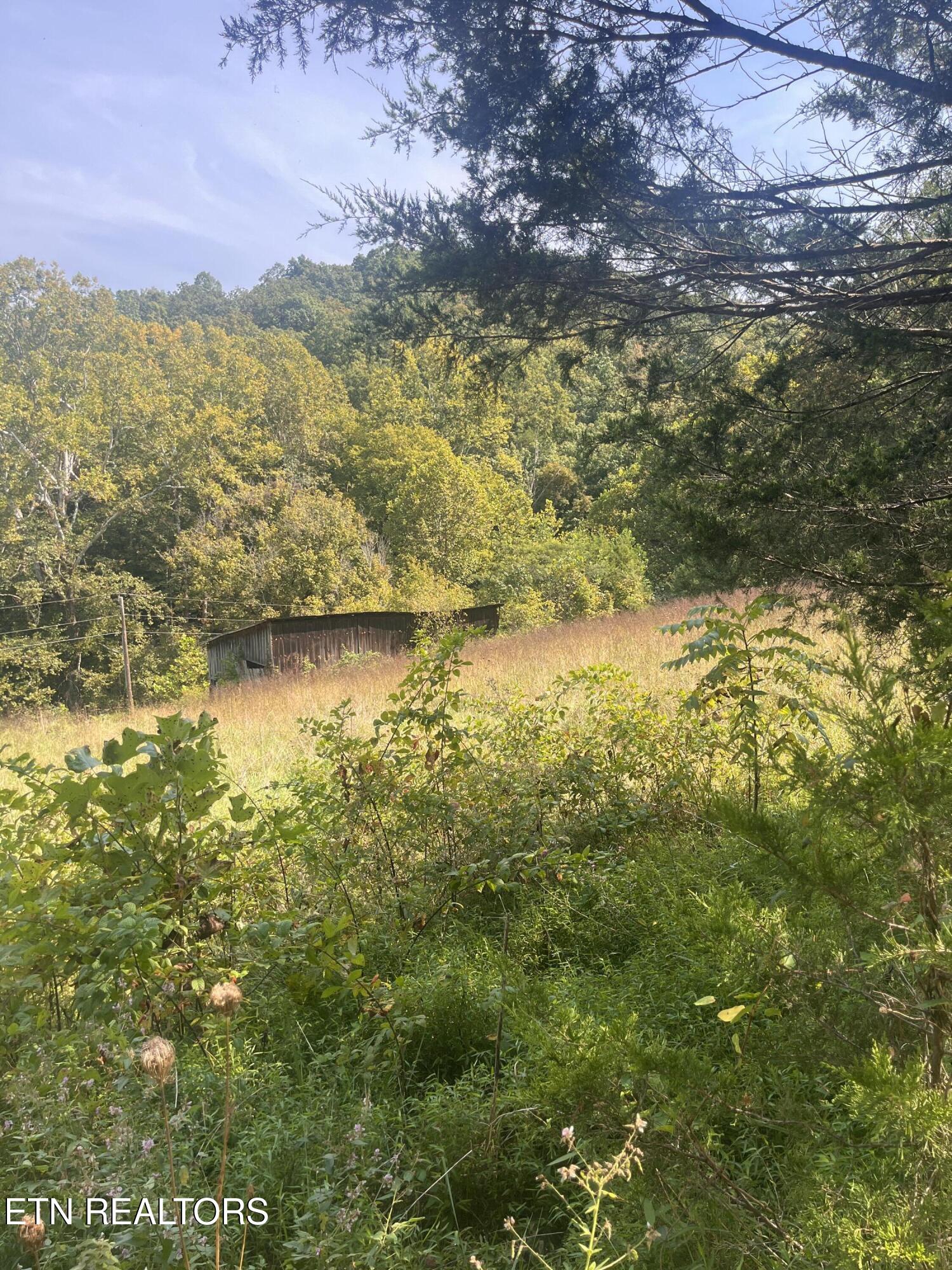 346 Wolfenbarger Lane Luttrell, TN 37779 - Photo 23 of 33 IMG_3516