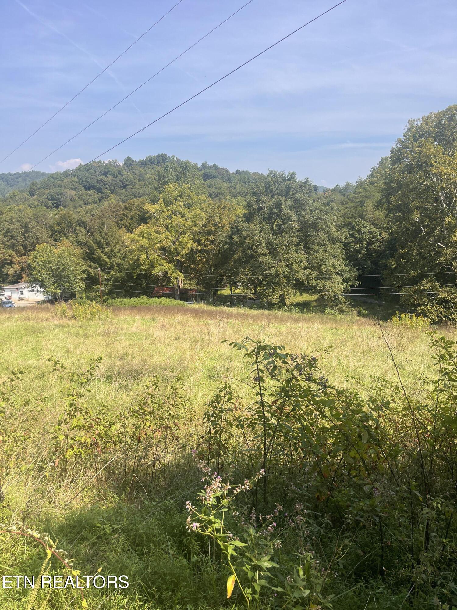 346 Wolfenbarger Lane Luttrell, TN 37779 - Photo 24 of 33 IMG_3517