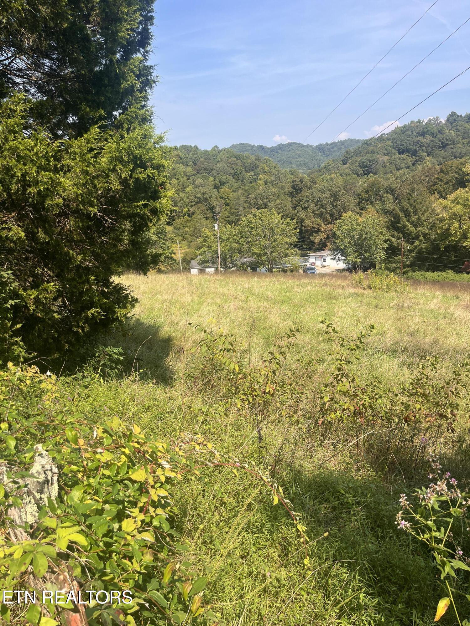 346 Wolfenbarger Lane Luttrell, TN 37779 - Photo 25 of 33 IMG_3518