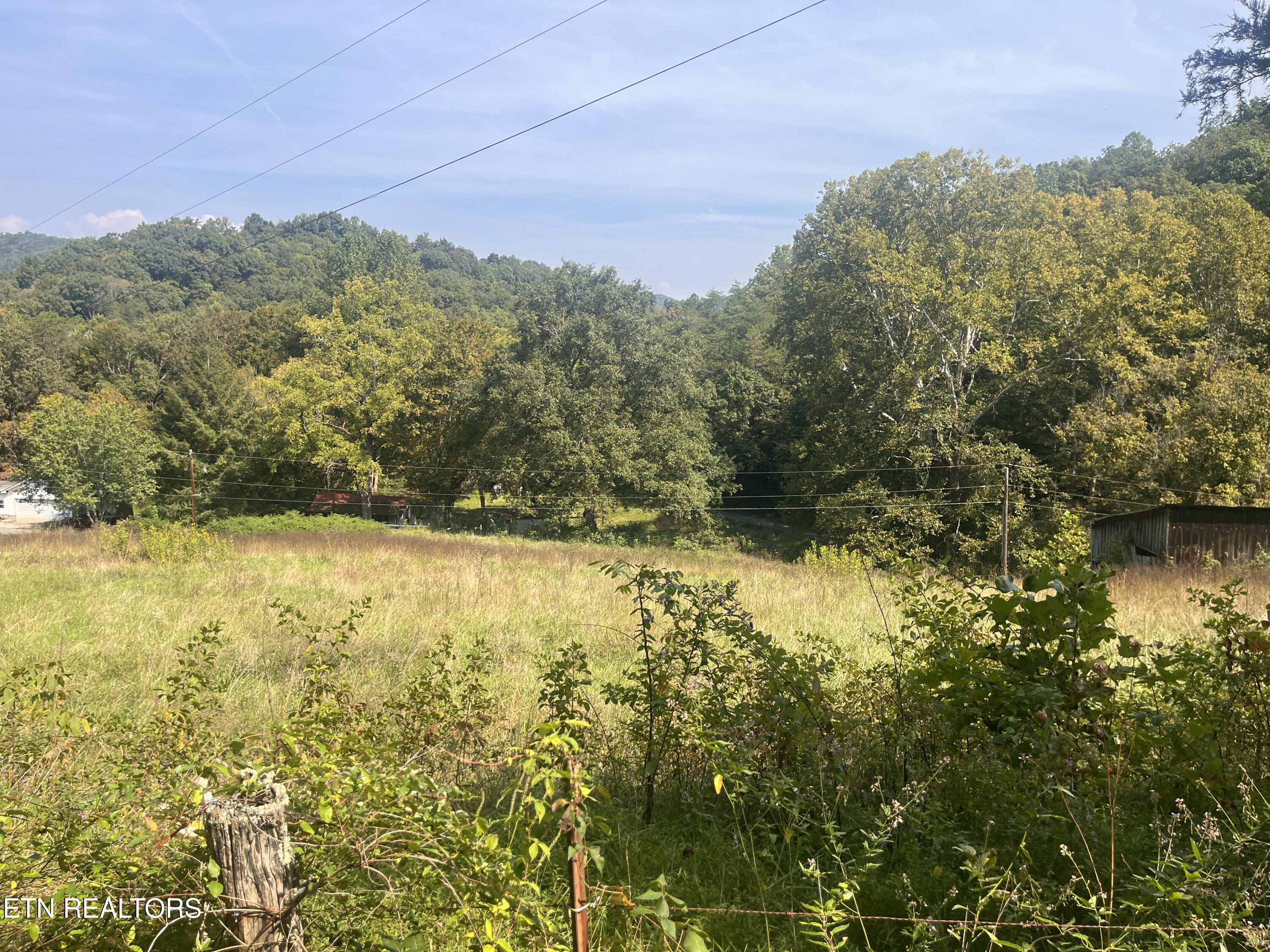 346 Wolfenbarger Lane Luttrell, TN 37779 - Photo 26 of 33 IMG_3519