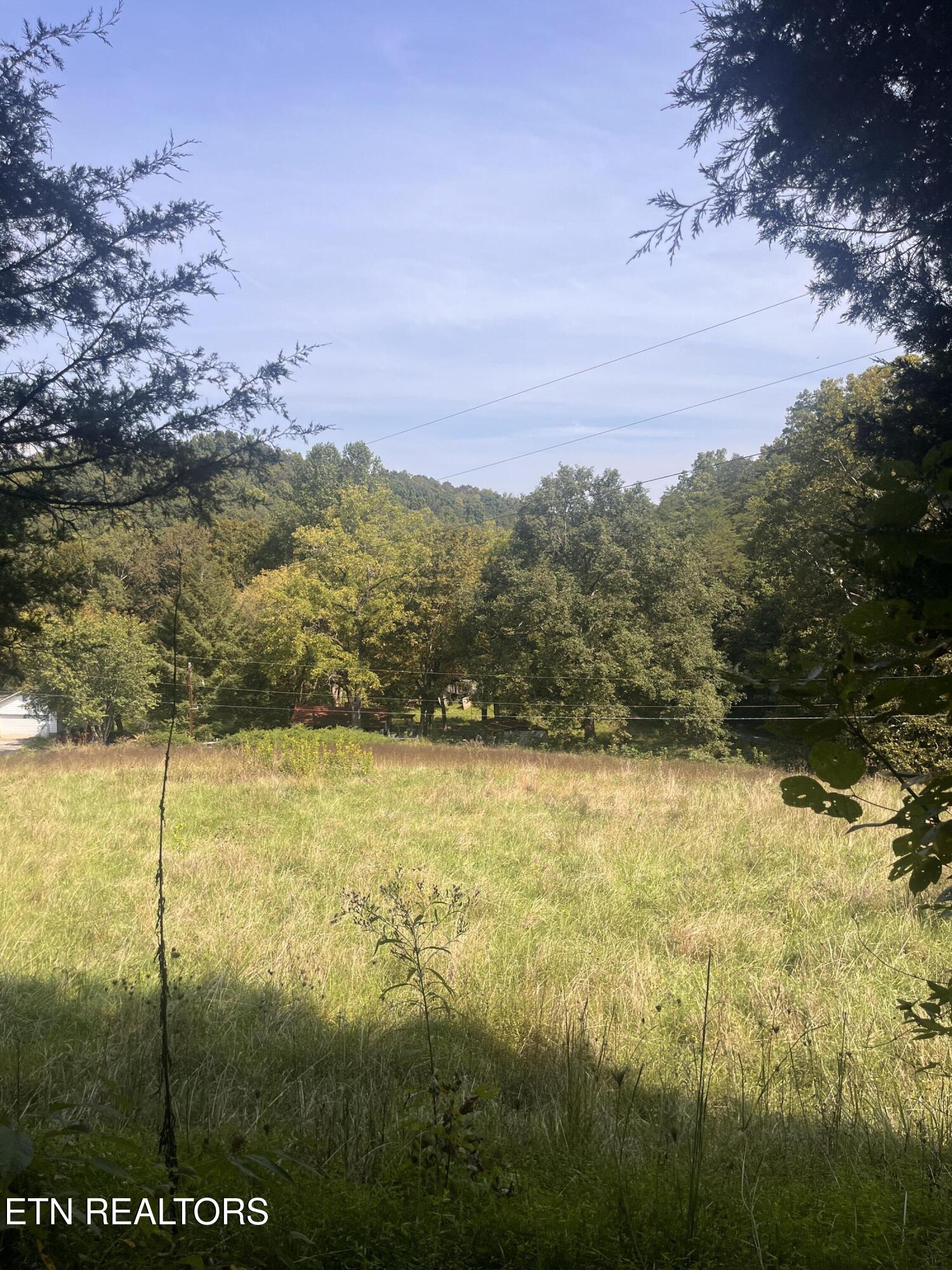 346 Wolfenbarger Lane Luttrell, TN 37779 - Photo 27 of 33 IMG_3522