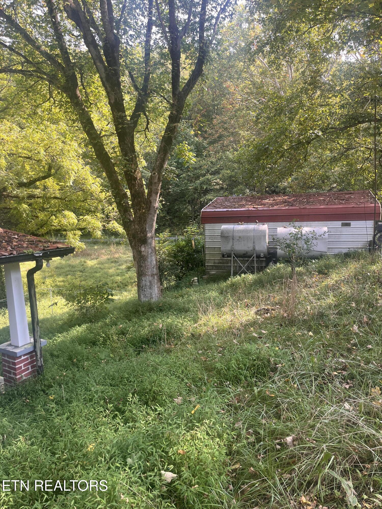 346 Wolfenbarger Lane Luttrell, TN 37779 - Photo 3 of 33 IMG_3491