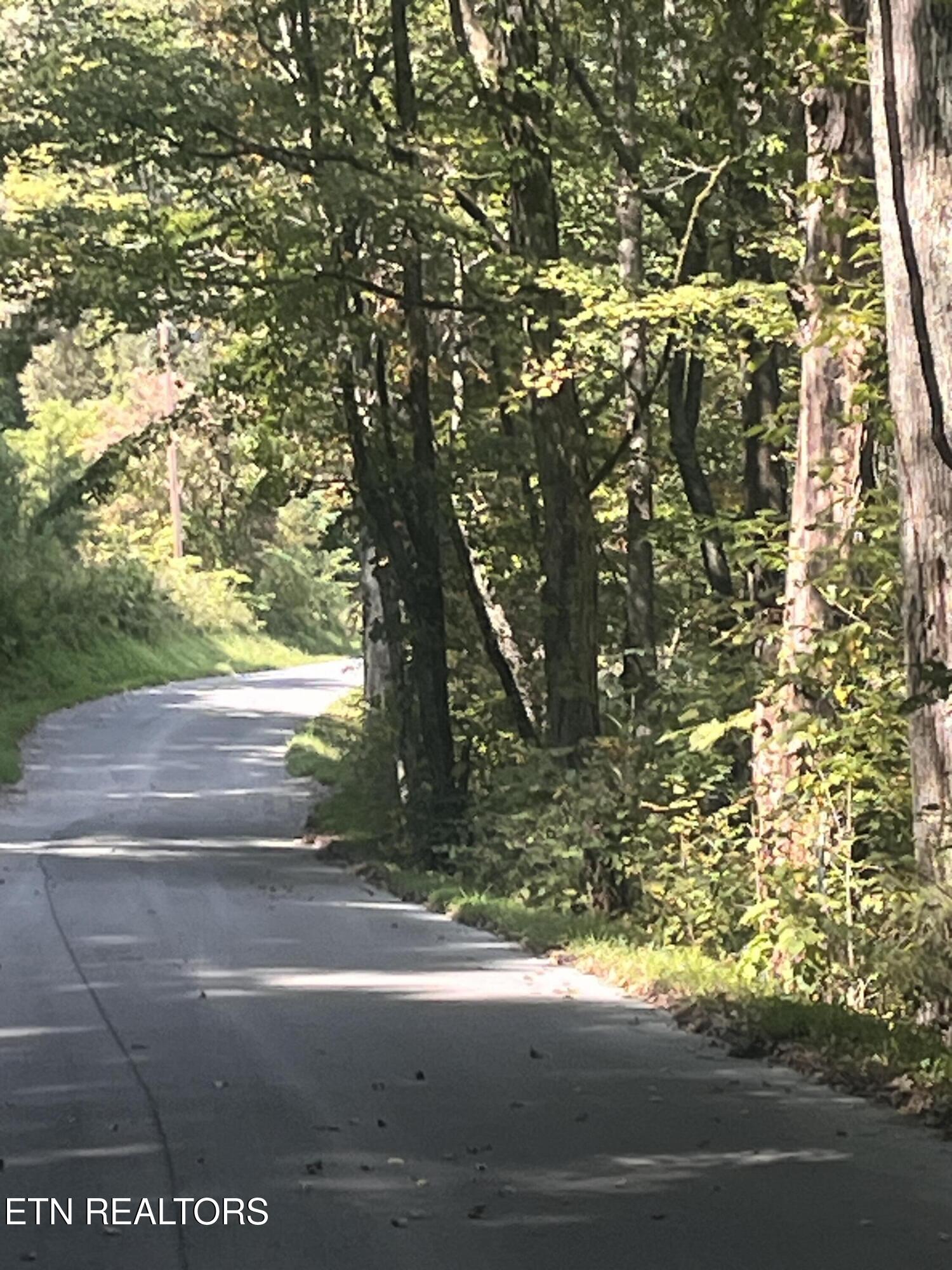 346 Wolfenbarger Lane Luttrell, TN 37779 - Photo 33 of 33 IMG_3531