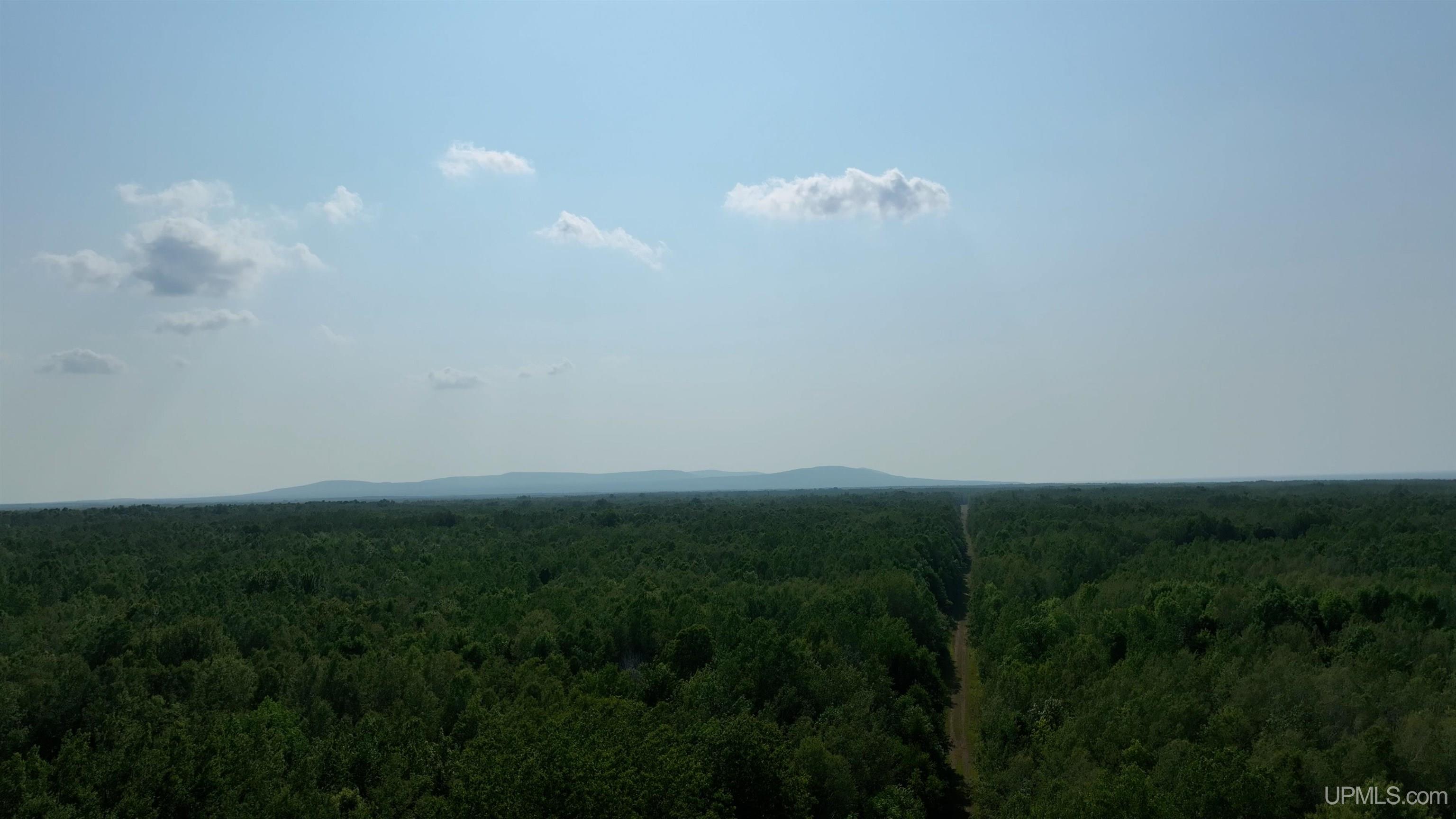 Tbd Curlew Road Ontonagon, MI 49953 - Photo 15 of 36