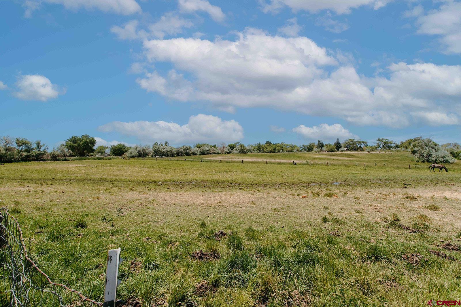 14679 5875th Road Montrose, CO 81403 - Photo 35 of 45