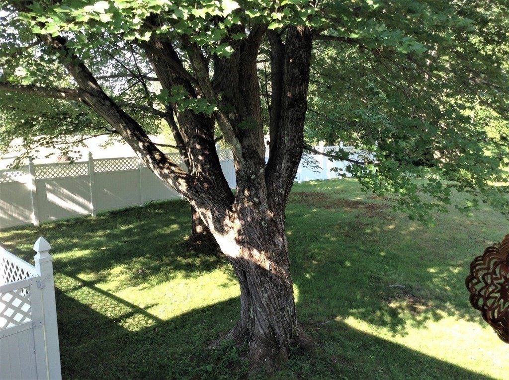 762 Ashby State Road Fitchburg, MA 01420 - Photo 21 of 29 Gallery Image 21