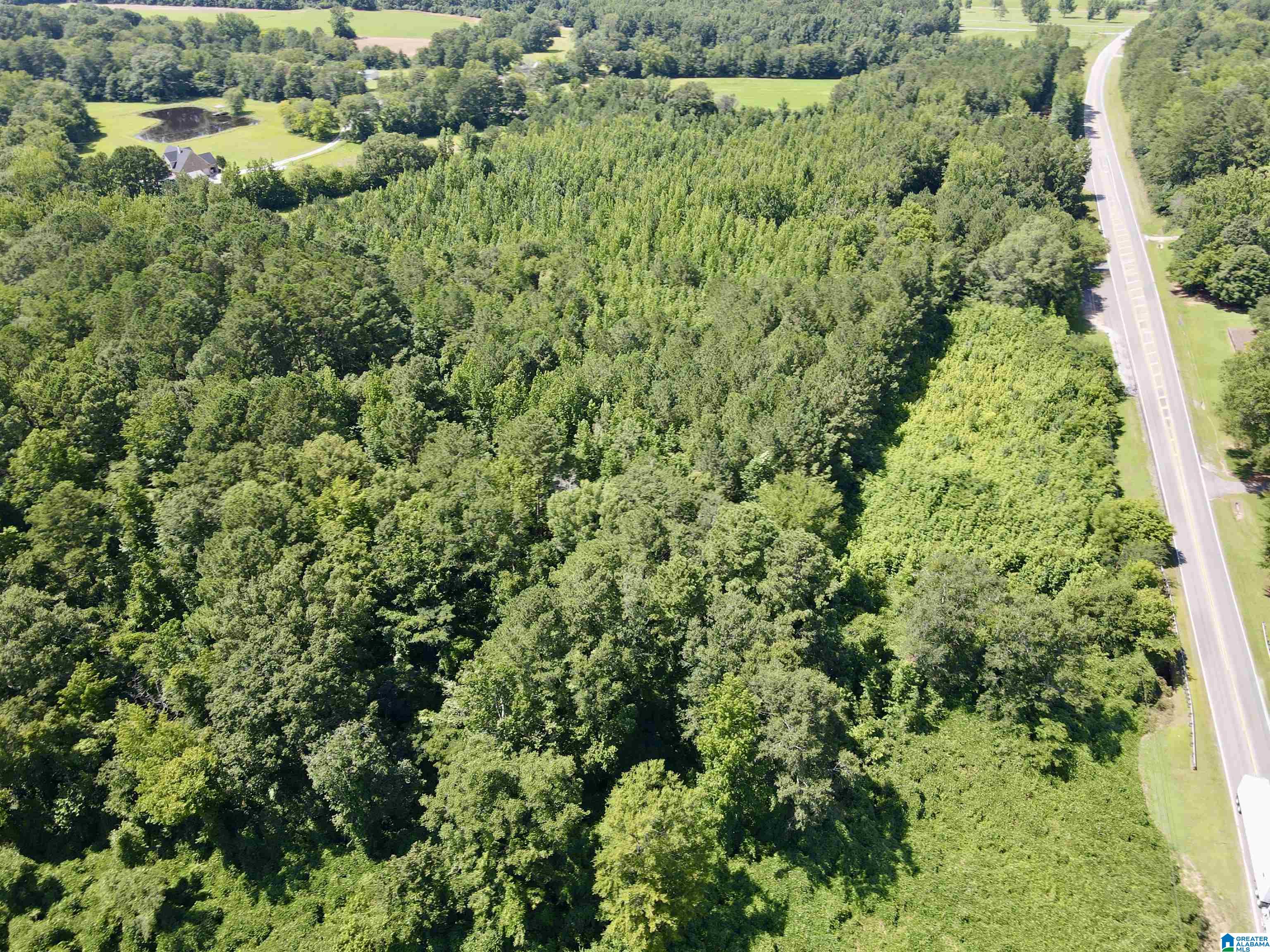 0 Highway 21 Sycamore Al, Unit 1 Alpine, AL 35014 - Photo 3 of 6