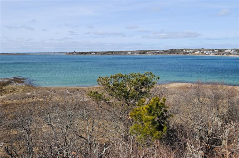 214 Stage Island Road Chatham, MA 02633 - Photo 17 of 19 Additional Photo
