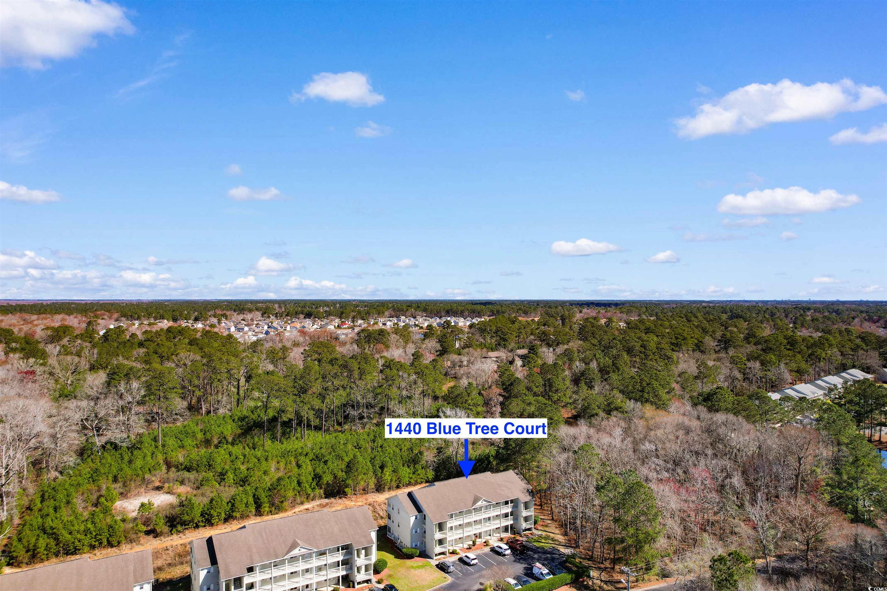 1440 Blue Tree Court, Unit N Myrtle Beach, SC 29588 - Photo 26 of 40