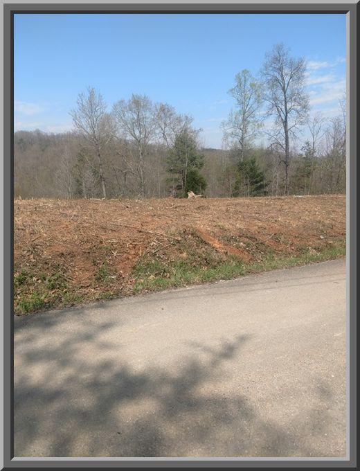 Holber Road Harriman, TN 37748 - Photo 1 of 9 Holber 8