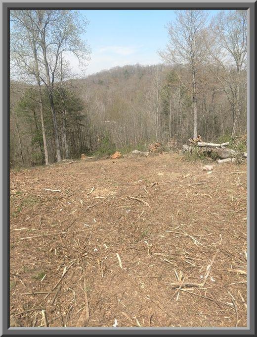 Holber Road Harriman, TN 37748 - Photo 3 of 9 Holber 6