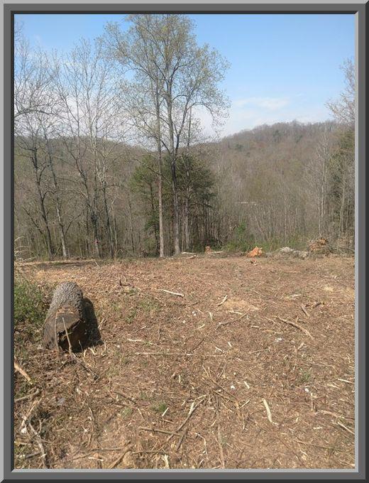 Holber Road Harriman, TN 37748 - Photo 4 of 9 Holber 5