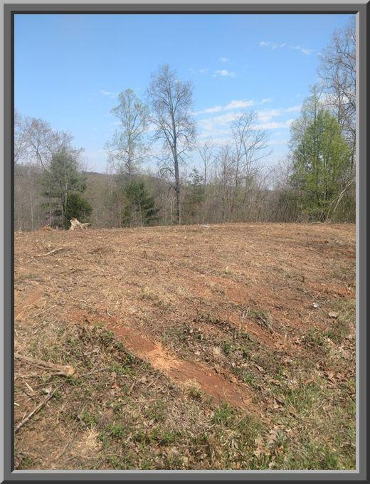 Holber Road Harriman, TN 37748 - Photo 5 of 9 Holber 4