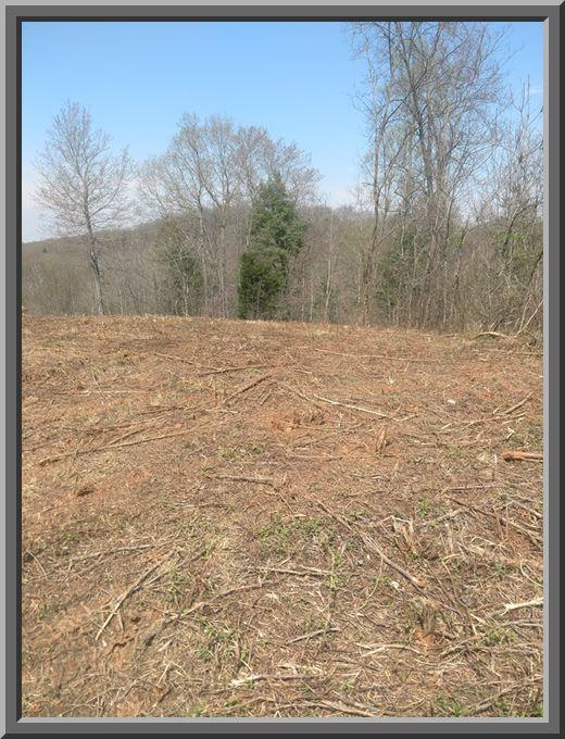 Holber Road Harriman, TN 37748 - Photo 6 of 9 Holber 3