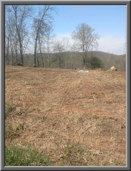 Holber Road Harriman, TN 37748 - Photo 7 of 9 Holber 2