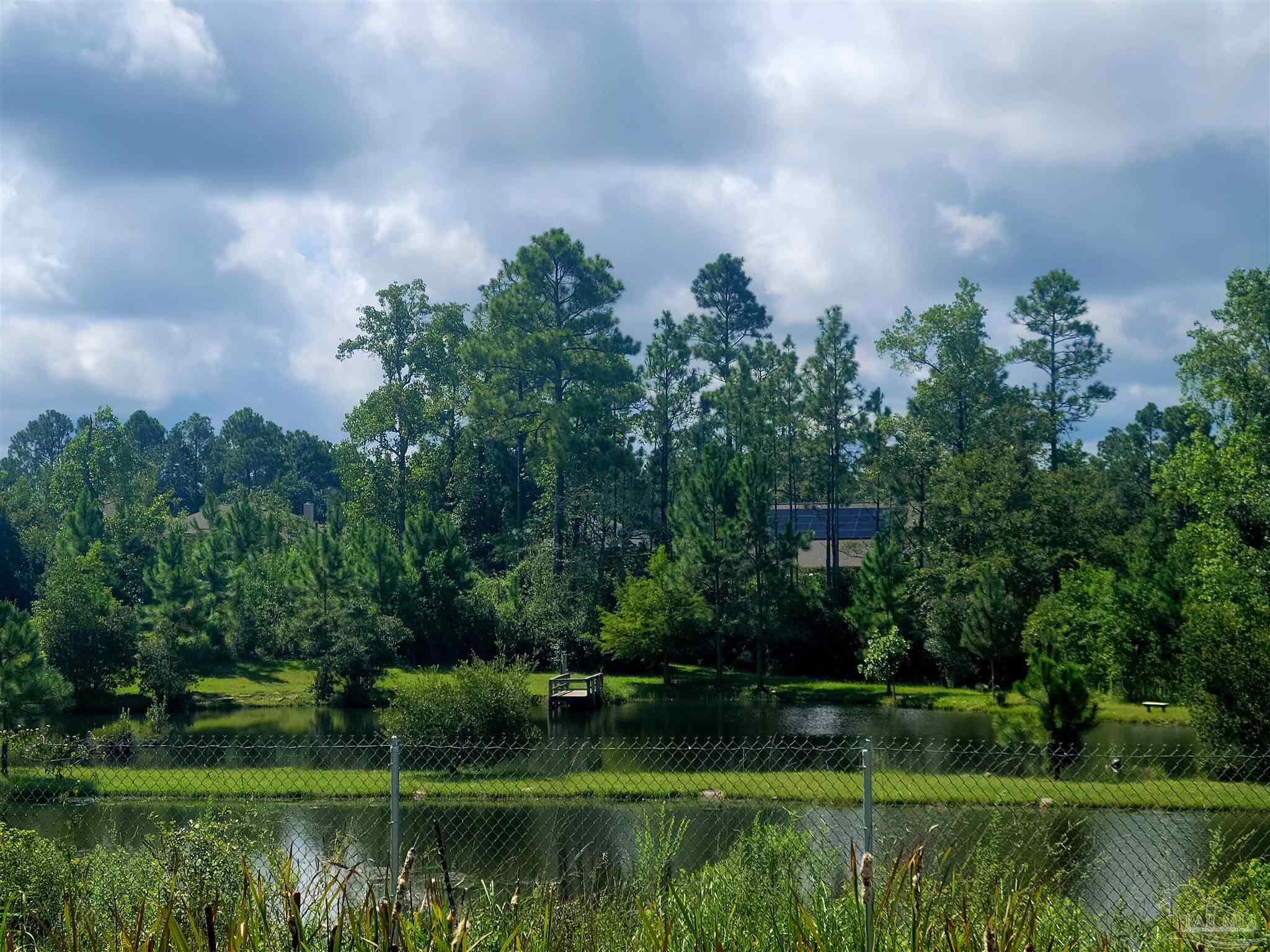 1463 Promenade Loop Cantonment, FL 32533 - Photo 41 of 41 a view of a lake in middle of green field and trees