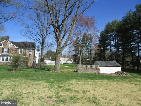 a view of a park with large trees