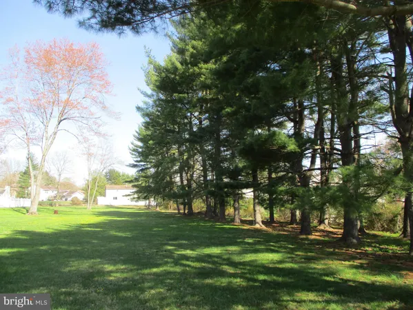 a big yard with large trees
