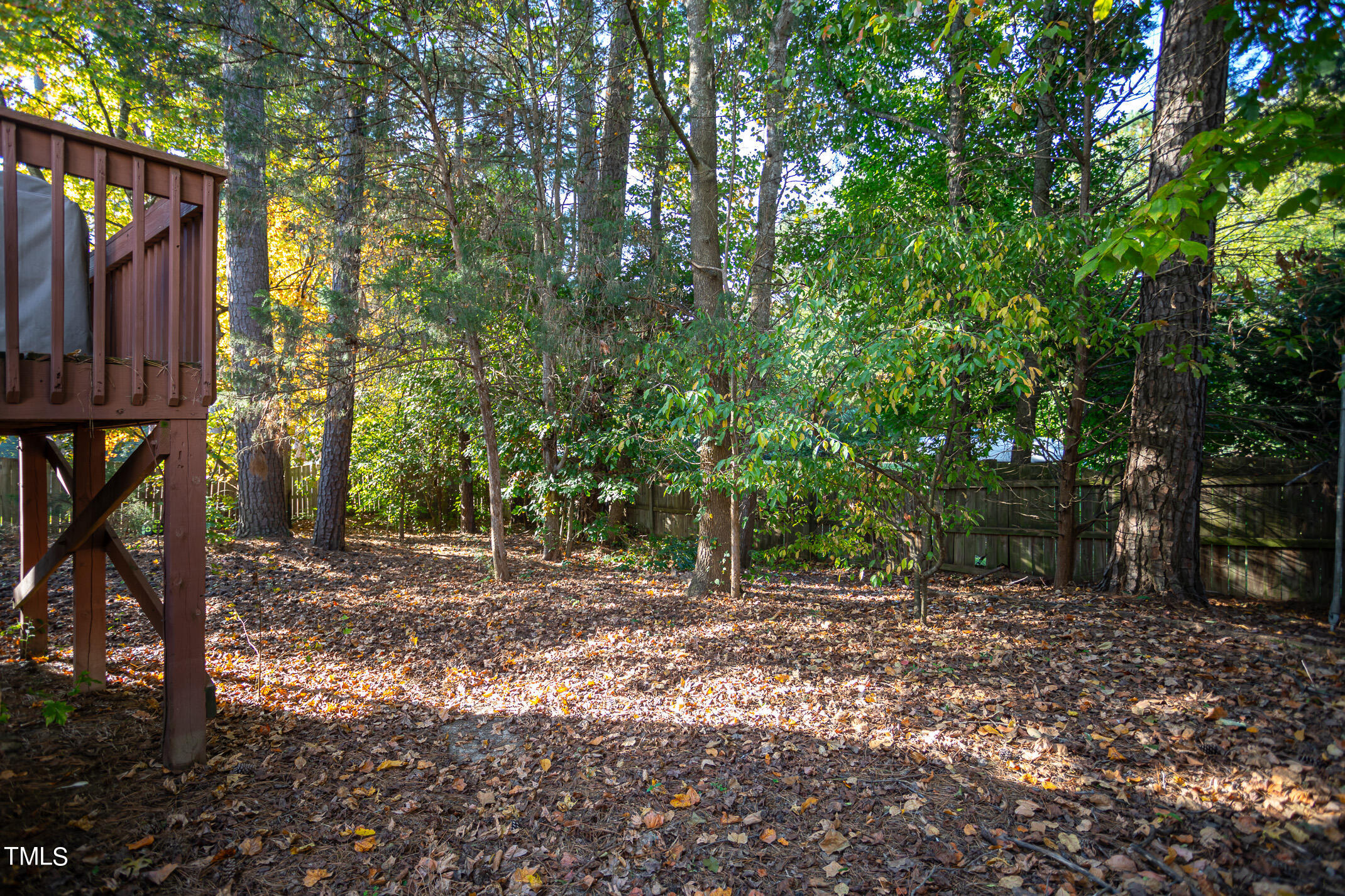 2304 Clerestory Place Raleigh, NC 27615 - Photo 28 of 30 Backyard