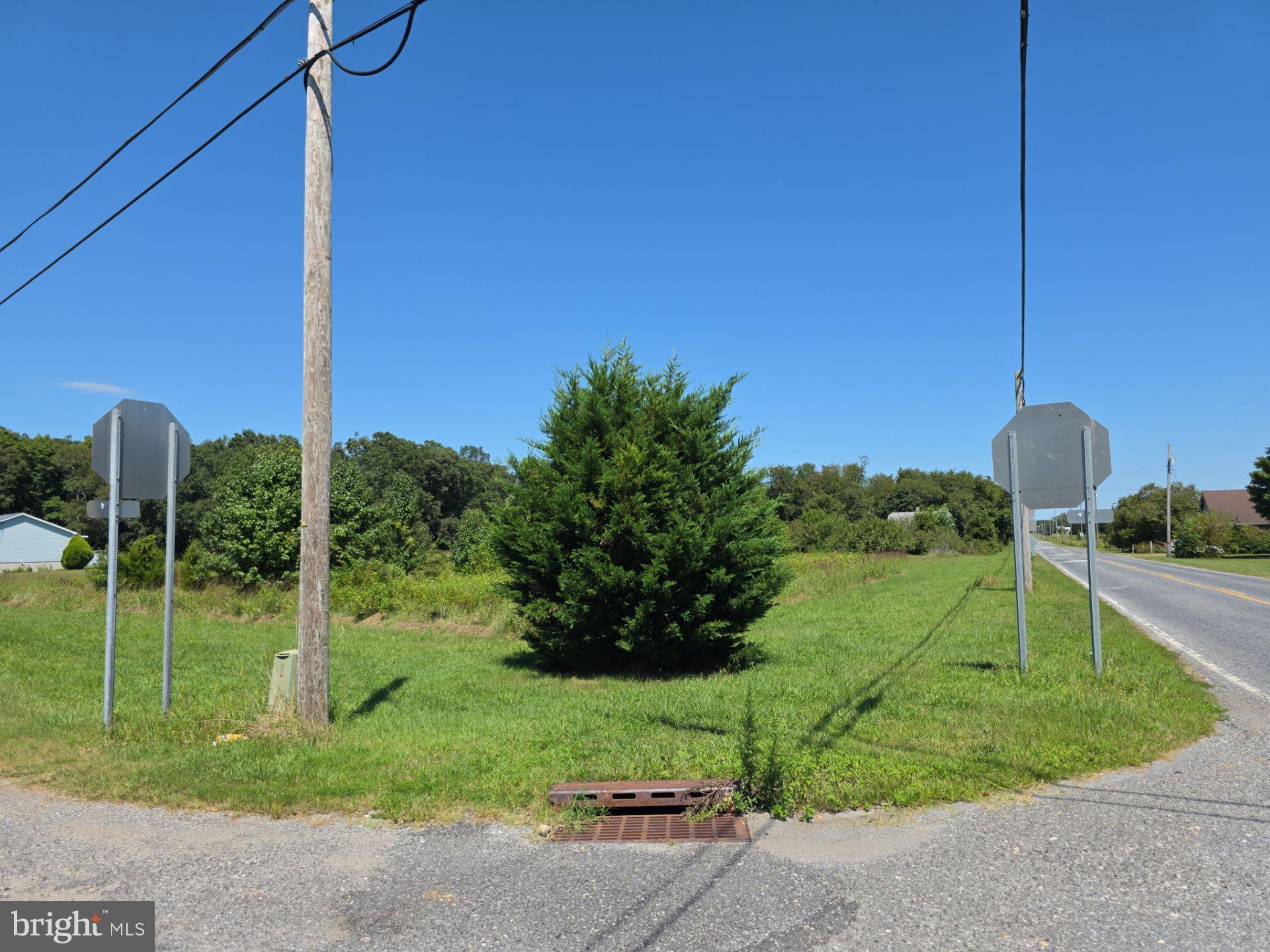 254 Fairton Gouldtown Road Bridgeton, NJ 08302 - Photo 12 of 17 a house view with a outdoor space