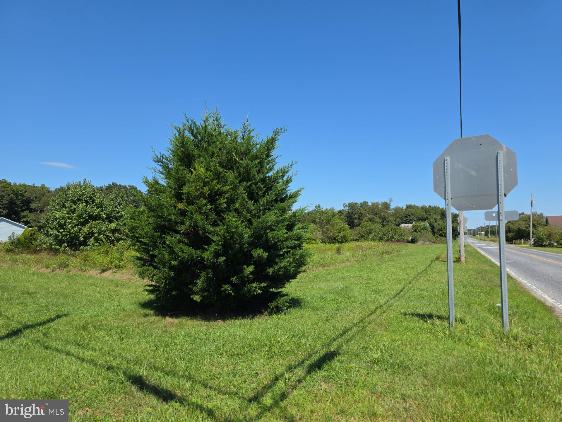254 Fairton Gouldtown Road Bridgeton, NJ 08302 - Photo 13 of 17 a backyard of a house with table and chairs under an umbrella