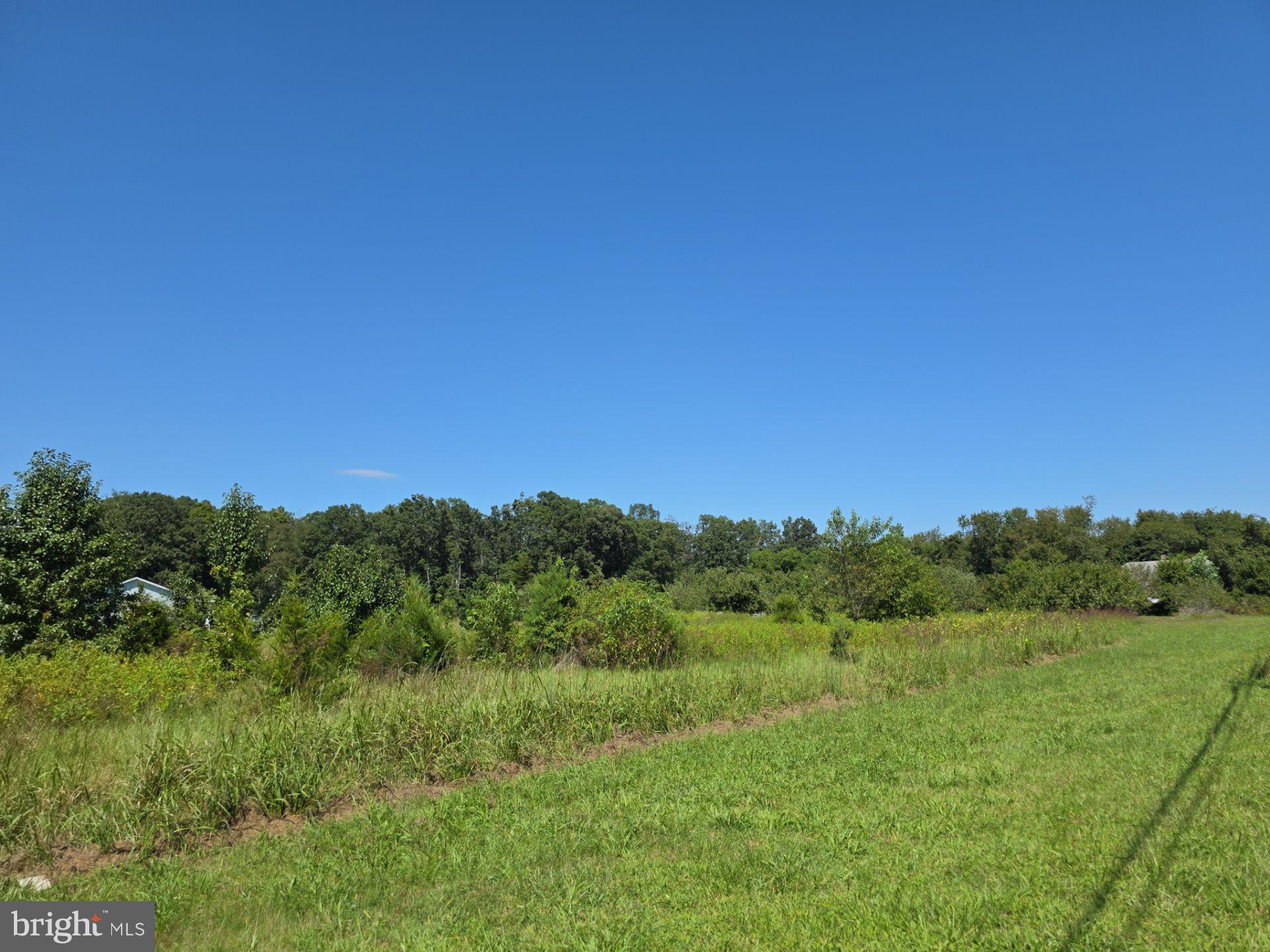 254 Fairton Gouldtown Road Bridgeton, NJ 08302 - Photo 14 of 17 a view of a lush green space