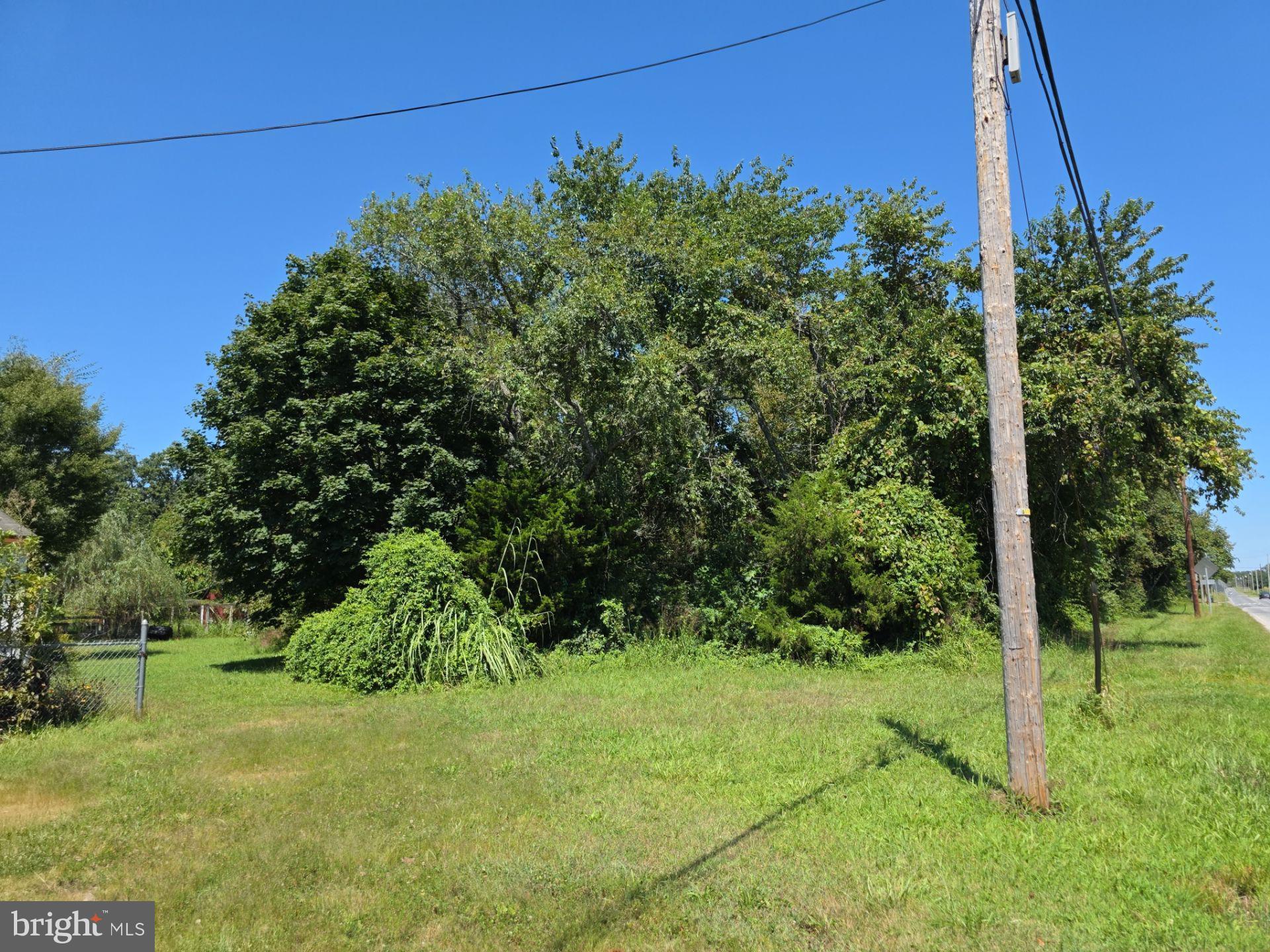 254 Fairton Gouldtown Road Bridgeton, NJ 08302 - Photo 17 of 17 a big yard with lots of green space