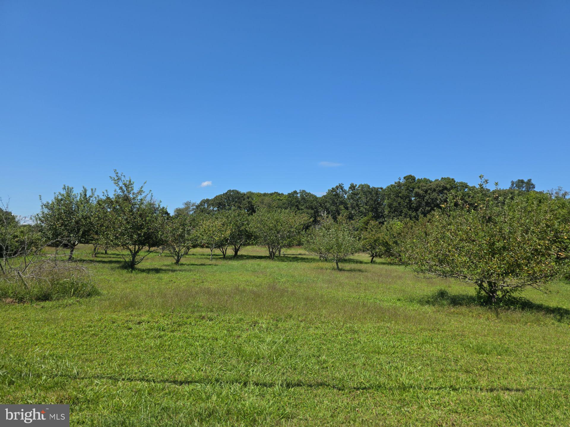 254 Fairton Gouldtown Road Bridgeton, NJ 08302 - Photo 5 of 17 a view of an outdoor space with a lake view