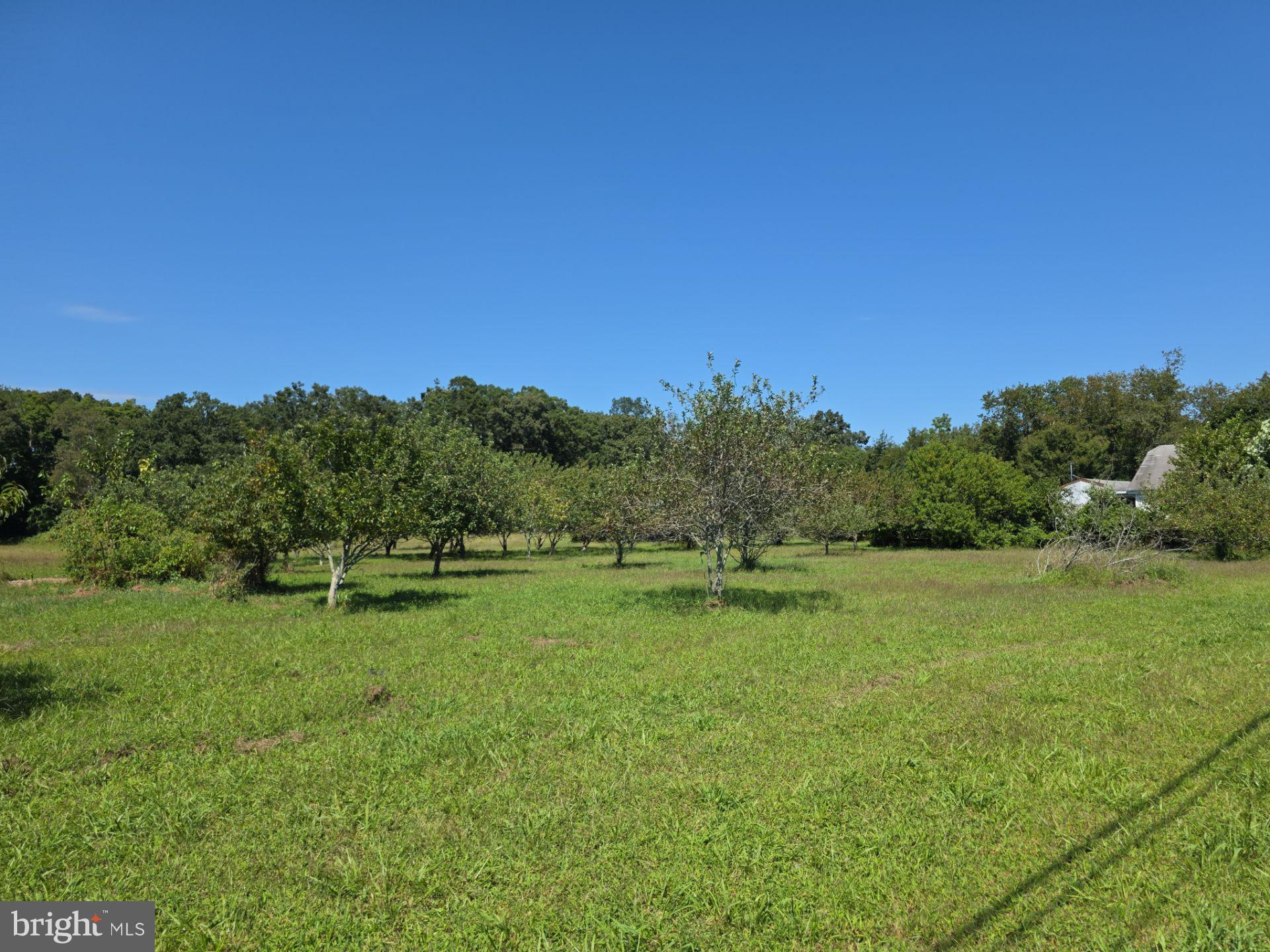 254 Fairton Gouldtown Road Bridgeton, NJ 08302 - Photo 6 of 17 a view of an outdoor space and a yard