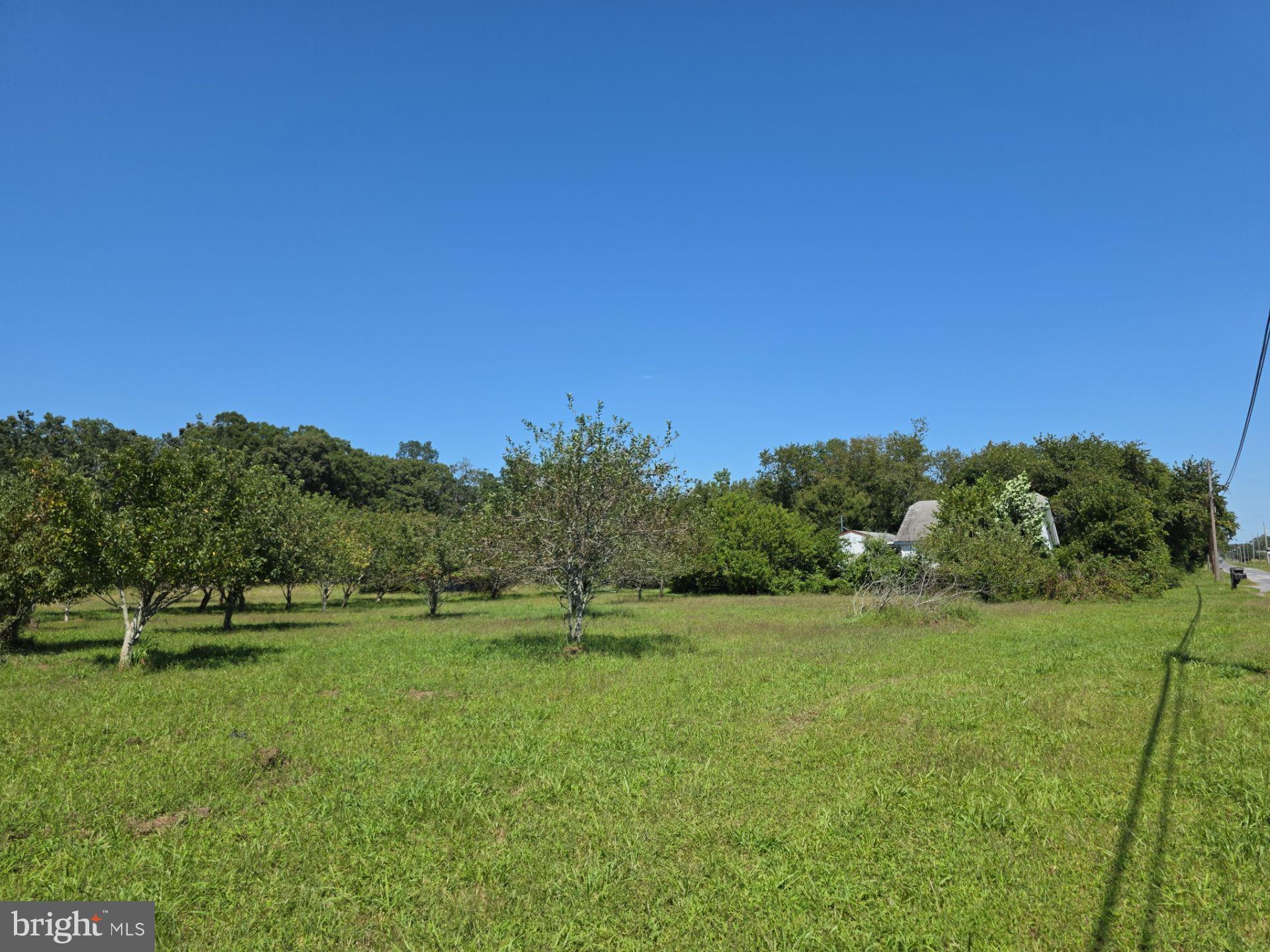 254 Fairton Gouldtown Road Bridgeton, NJ 08302 - Photo 7 of 17 a view of a golf course with a park