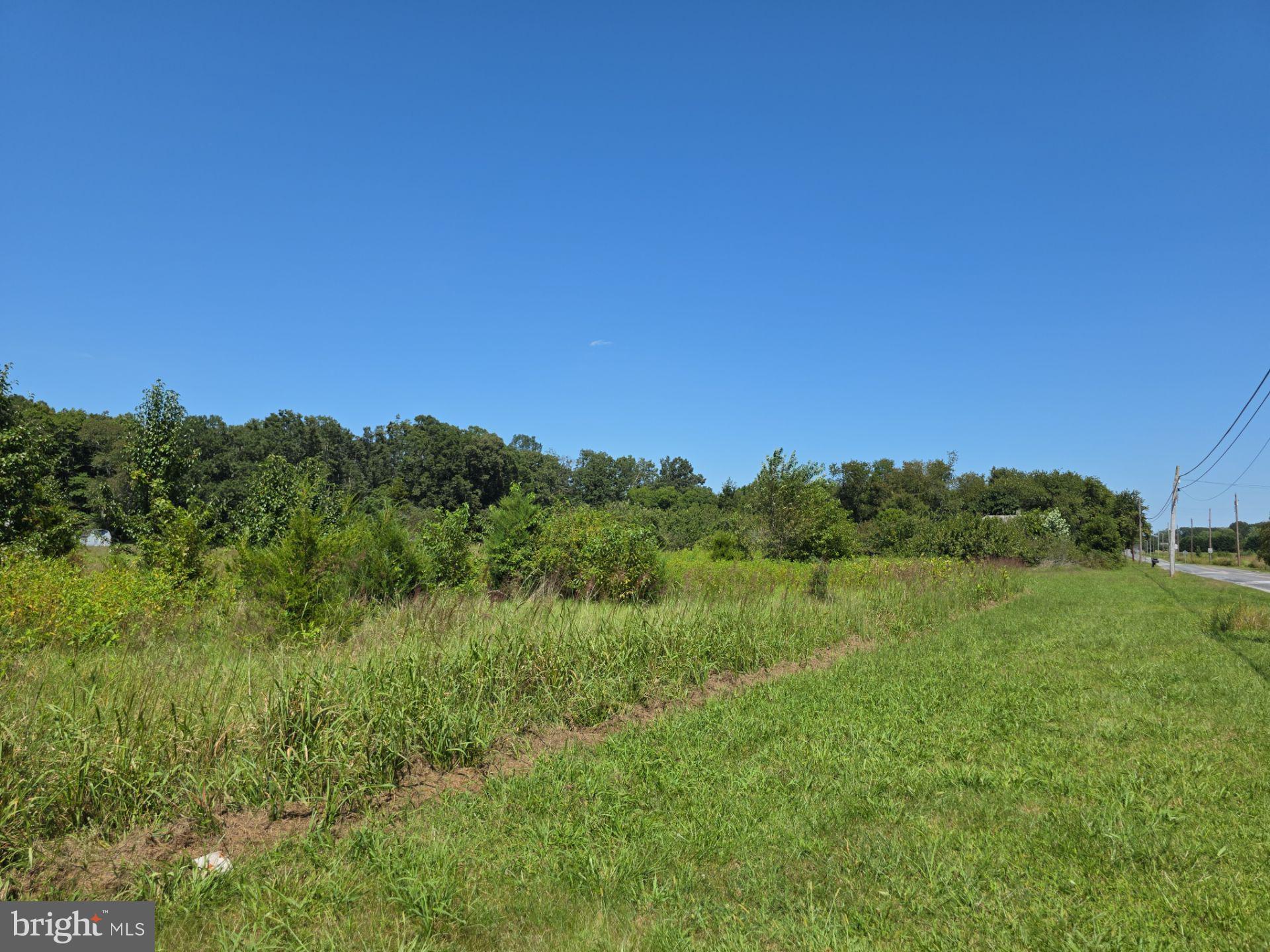 254 Fairton Gouldtown Road Bridgeton, NJ 08302 - Photo 9 of 17 a view of a lush green space with sea