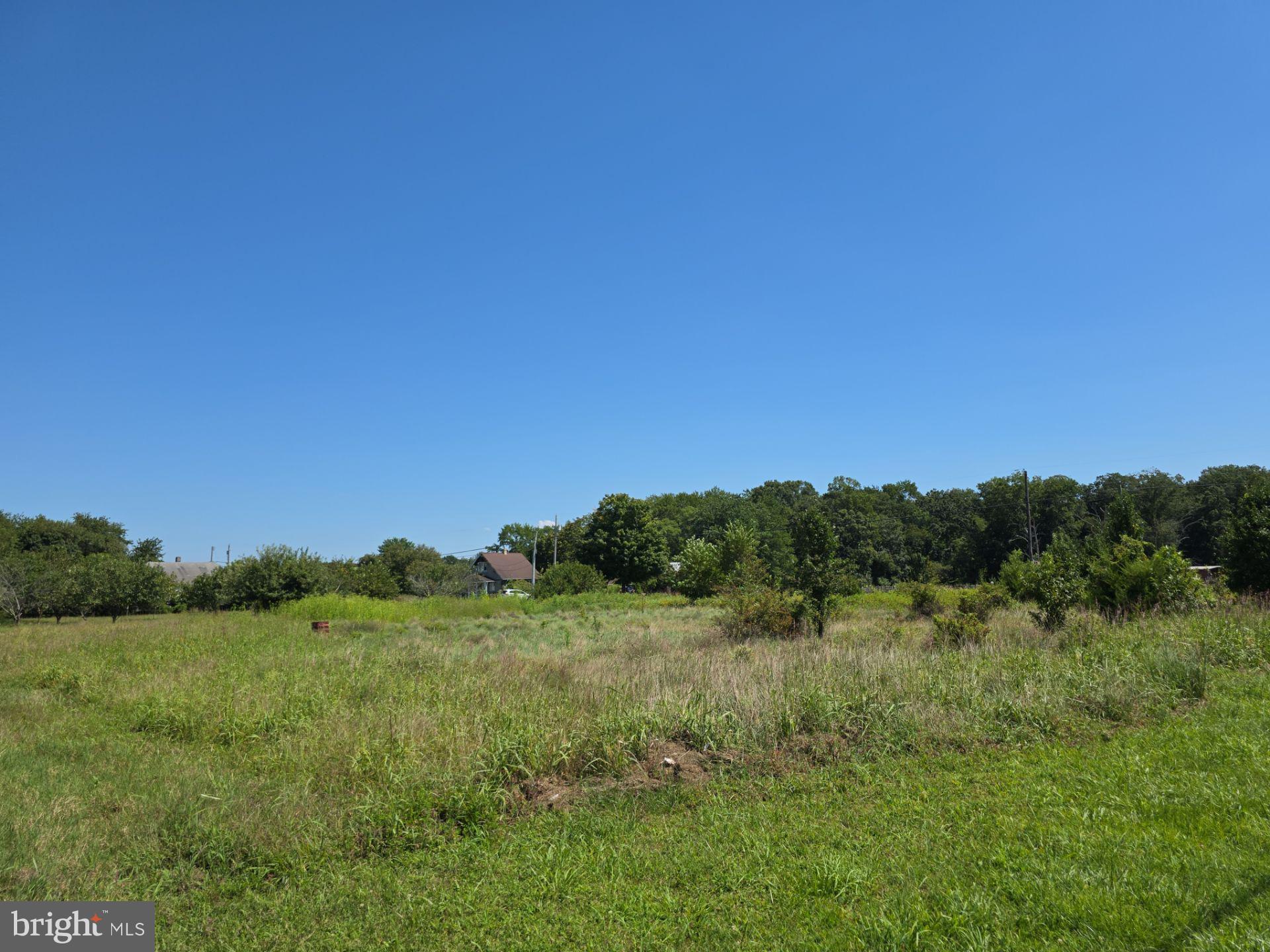 254 Fairton Gouldtown Road Bridgeton, NJ 08302 - Photo 10 of 17 a view of a lush green forest with a house in the background