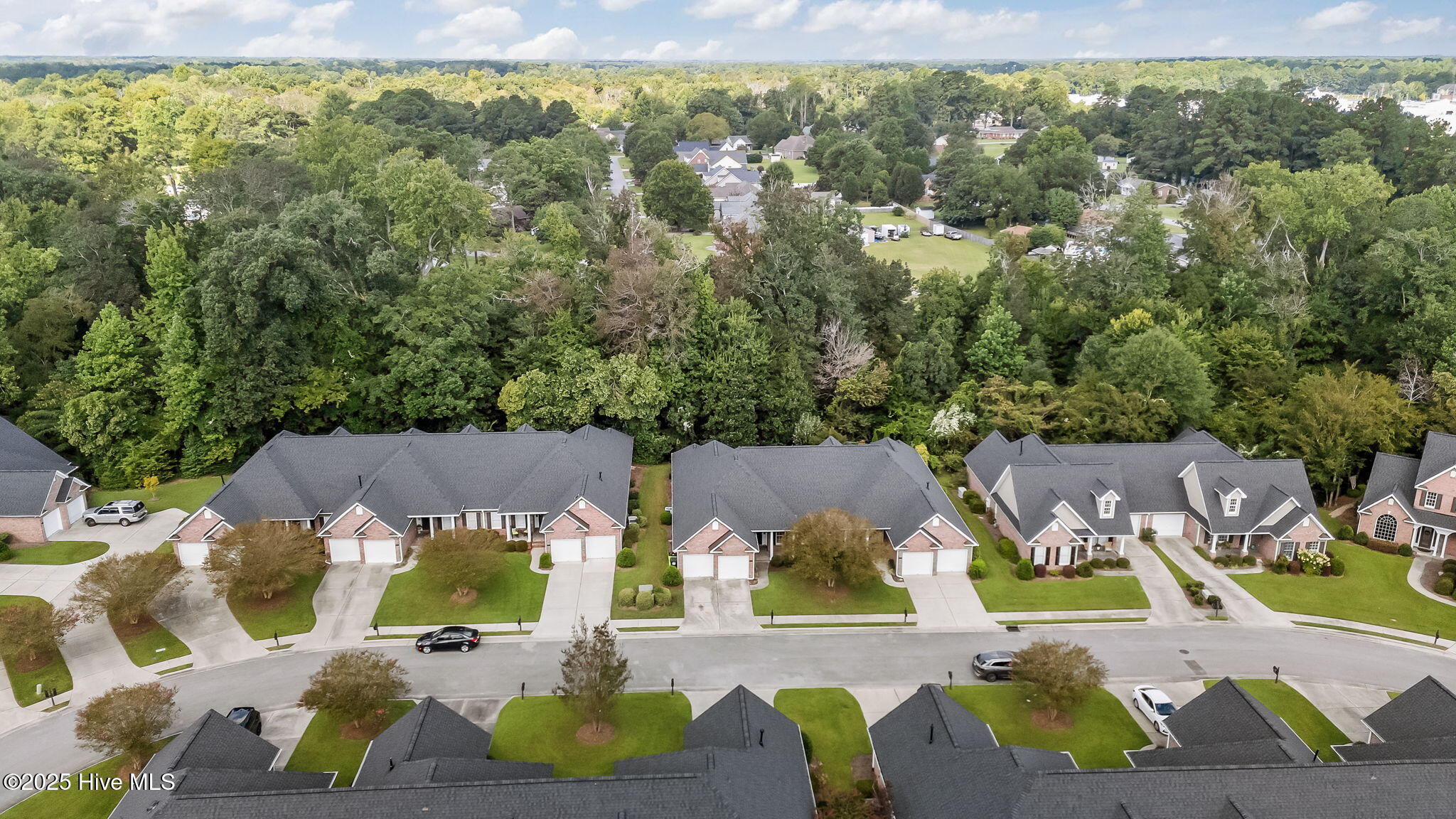 817 Vineyard Drive New Bern, NC 28562 - Photo 45 of 49 The Vineyard