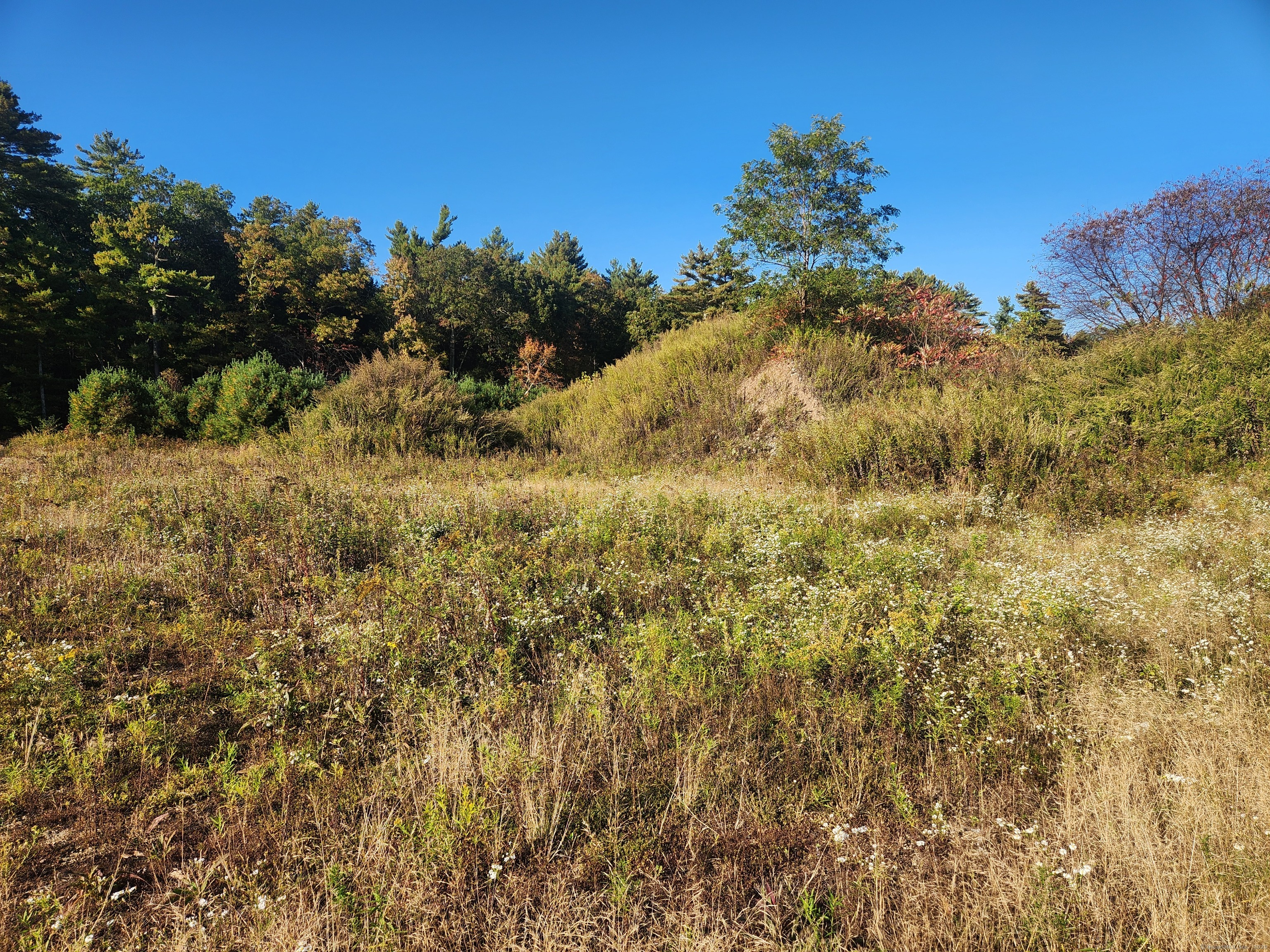 Rockledge Road Stafford Springs, CT 06076 - Photo 7 of 12 a view of a yard with a tree